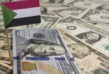 زيادة غير مسبوقة في سعر الدولار الجمركي 12 images 1