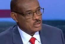 د الدرديري محمد أحمد: ألمانيا.. ما لها وما للسودان! (قراءة في دوافع مؤتمر برلين) 12 images 17 2