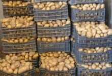 images 2026 04 04T105547.265