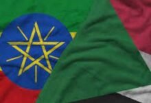 images 2026 04 06T211107.744