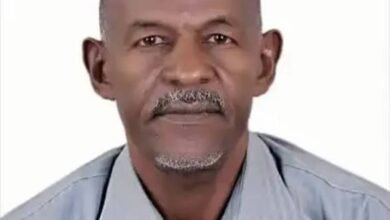 images 2026 04 08T131211.058