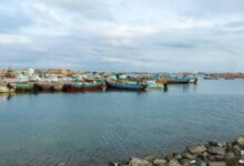 مربط جديد بميناء سواكن 13 images 2026 04 08T230653.507