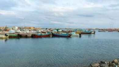 images 2026 04 08T230653.507