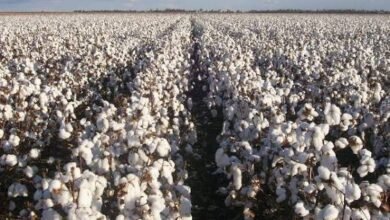 images 2026 04 18T122917.268