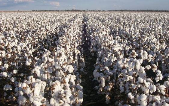 images 2026 04 18T122917.268