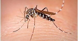 كارثة صحية في ولاية نهر النيل