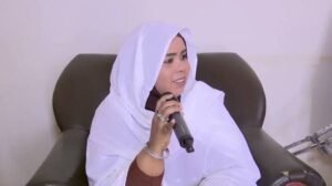 عضو السيادي تلتقي الدراميين