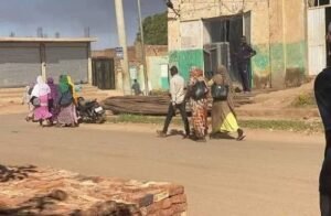 فوضى صحية في ود مدني.. إليك التفاصيل 12 فوضى صحية في ود مدني.. إليك التفاصيل