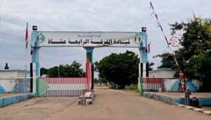 الجيش يعلن عن إنتصارات جديدة !!