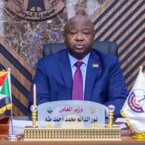 المعادن تقدم رؤية جديدة للحد من التهريب 