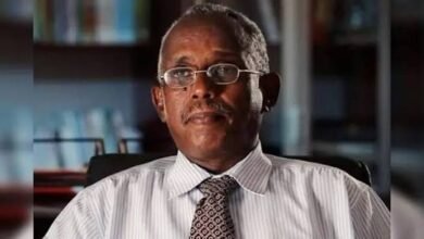 عثمان ميرغني يكتب: مواطنون مع وقف التنفيذ.. 16 images 59