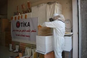 منظمة تركية تهدي السودان "خلايا نحل" !!