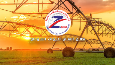 تأهيل الطرق الموانئ البحرية مشاريع سياحية.. زادنا تتعهد!! 16 329700030 1160007214653848 7258192594457316587 n 780x312 1