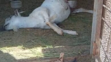 IMG 20260504 WA0028