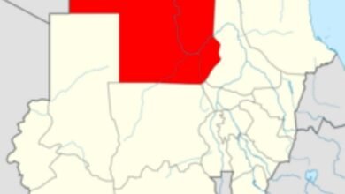 IMG 20260509 WA0012 1