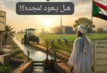 مشروع الجزيرة ذلك العملاق المارد .. هل يعود لمجده أم يظل يرزح تحت غياب الرؤية وصراع المطامع!! 12 IMG 20260525 WA0006