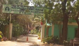 الكشف عن خطة لتعمير الغابات المروية بالجزيرة 12 الكشف عن خطة لتعمير الغابات المروية بالجزيرة