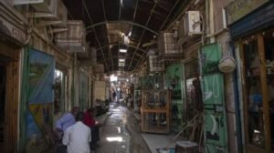 حرفيو سوق “قندهار” يواجهون شبح الإزالة ويناشدون!!