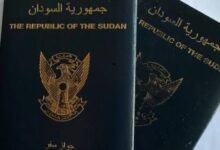 ترتيبات لمعالجة إشكالات إجراءات المغتربين 13 images 2026 05 14T184250.616