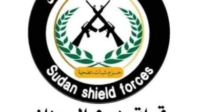 قوات درع السودان تقرر التدخل العاجل !! 17 images 2026 05 29T213050.006