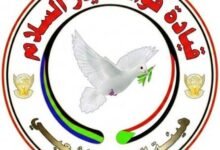 شباب الولاية الشمالية يتأهب للبناء والتعمير بعد الحرب 12 images 25 1