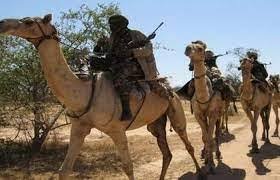 إسقاط مسيّرة قرب مدينة الدمازين.. معلومات صادمة!!