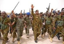 بالفيديو | الجيش السوداني يحرر مناطق مهمة بمحور النيل الأزرق ويكبد المتمردين خسائر فادحة 12 images 86 3