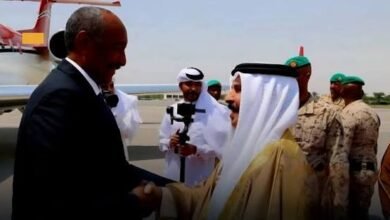استقبله ملك البحرين.. تفاصيل زيارة البرهان إلى المنامة 15 بعد زيارة خاطفة.. البرهان يعود من البحرين