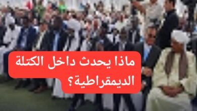 IMG 20260602 WA0013