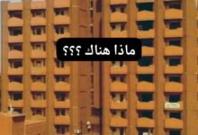 IMG 20260626 WA0008