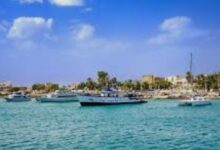 خطر بيئي يهدد البحر الأحمر 15 Screenshot ٢٠٢٦٠٦٢٤ ٠٨٥٣٢٧ Google