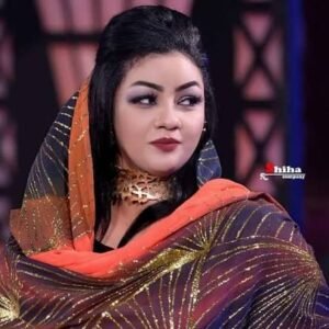 إلغاء حفل فنانة سودانية بأسوان بسبب حادث مرور 12 إلغاء حفل فنانة سودانية بأسوان بسبب حادث مرور