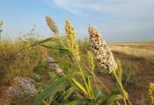 images 34