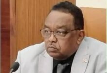 محافظ مشروع الجزيرة يعلن عن تمويل زراعة 100 ألف فدان بالقطن 13 images 42 2