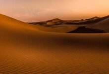 فارق شابان سودانيان الحياة عطشاً في أعماق الصحراء أثناء محاولتهما العبور في رحلة هجرة غير نظامية. 12 images 60