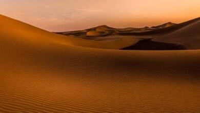 images 60
