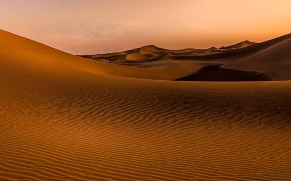 يبحثان عن حياة أفضل .. شابان تبتلعهما صحراء الموت !! 11 images 60