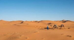 يبحثان عن حياة أفضل .. شابان تبتلعهما صحراء الموت !! 12 يبحثان عن حياة أفضل .. شابان تبتلعهما صحراء الموت !!