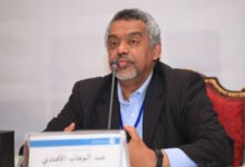 د. عبد الوهاب الأفندي يكتب: الوقف العاجل لحرب السودان لا يكون بالخضوع للتوحّش 14 عبدالوهاب الافندي
