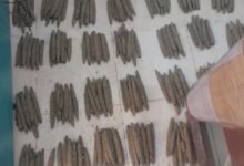 IMG 20260701 WA0006