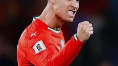 رونالدو يسجل رقم قياسي في المونديال 15 Screenshot ٢٠٢٦٠٧٠٣ ٠٨٣١٥١ Google