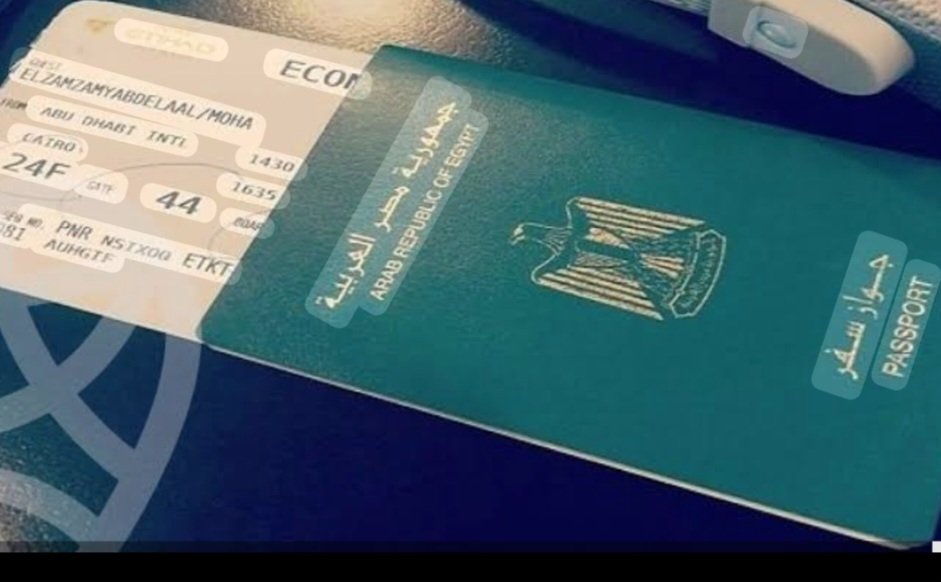 مخرج سوداني يتقدم لنيل الجنسية المصرية 11 Screenshot ٢٠٢٦٠٧١٠ ٠٧٢٣٣٩ Google