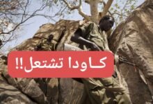 كاودا تشتعل !! 12 WA 1784412939019