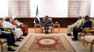 توجيهات عاجلة من رئيس الوزراء لسلطان دار المساليت