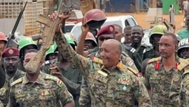 images 2026 07 11T165938.755