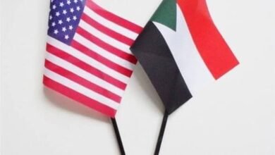 دعم مقدر من أمريكا للاجئين السودانيين بمصر 17 images 2026 07 17T231847.212