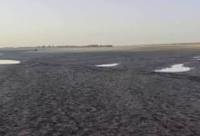 خبير دولي يكشف أسباب إنحسار النيل ويحذر 12 images 2026 07 19T203157.501