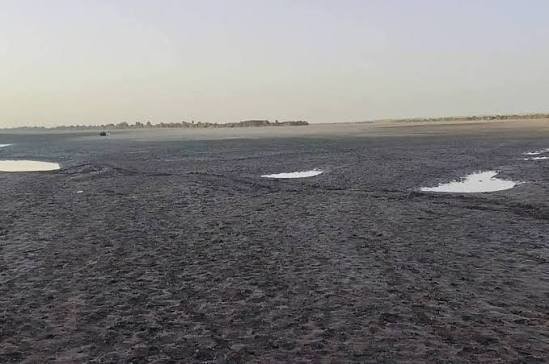 خبير دولي يكشف أسباب إنحسار النيل ويحذر 11 images 2026 07 19T203157.501