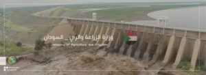 خبير دولي يكشف أسباب إنحسار النيل ويحذر 12 خبير دولي يكشف أسباب إنحسار النيل ويحذر