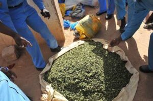 عاجل للسلطات السودانية.. خطر داهم يحاصر الشباب !!
